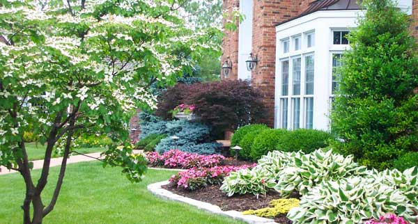 Services for Your Home