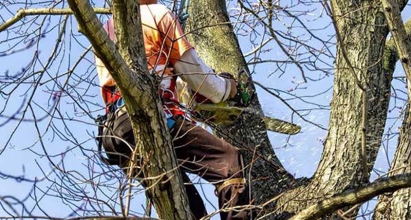 Services for Your Home